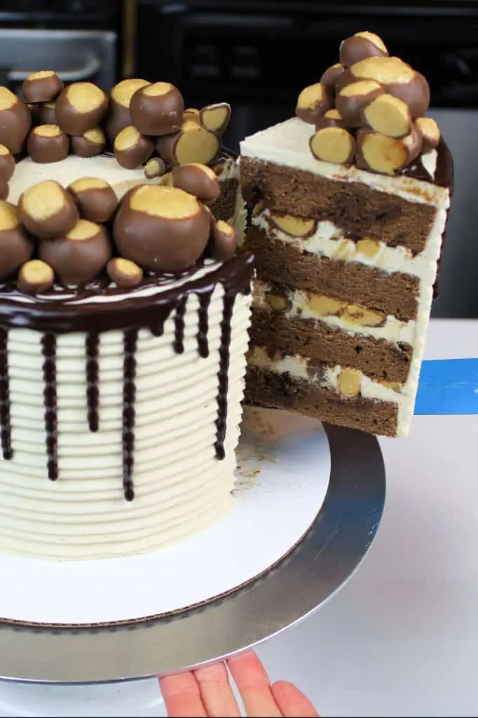 Cutting into this buckeye chocolate layer cake, frosted with my peanut butter buttercream