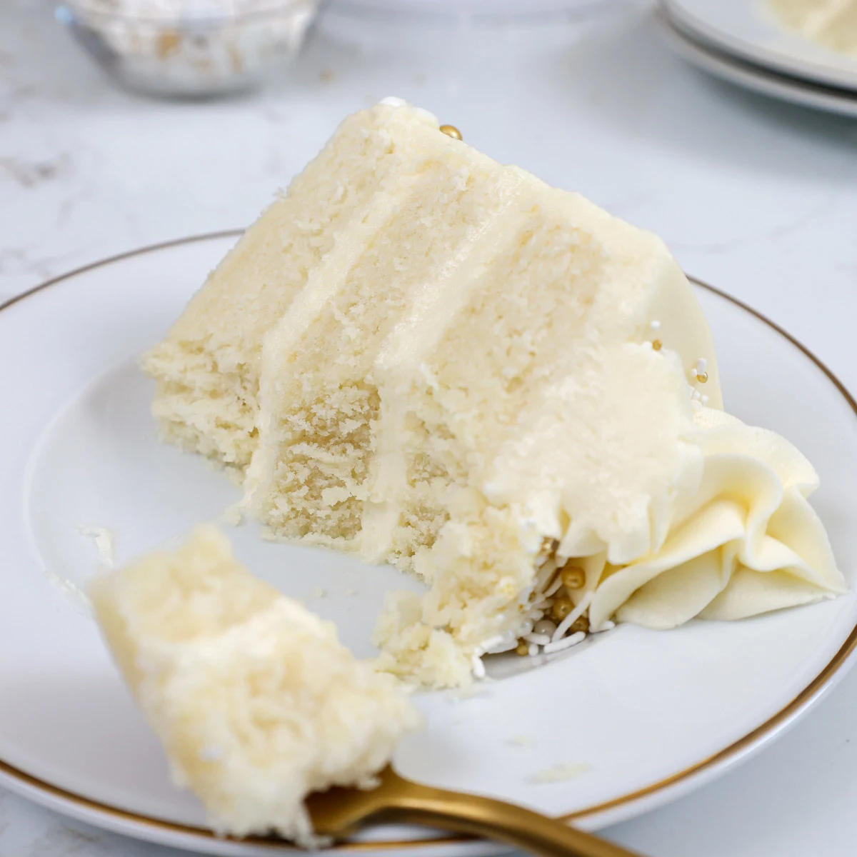 image of a slice of WASC cake on a plate that's been cut into to show how moist it is