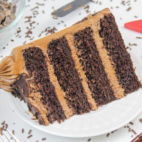 image of a slice of a moist and delicious gluten free chocolate cake with chocolate buttercream