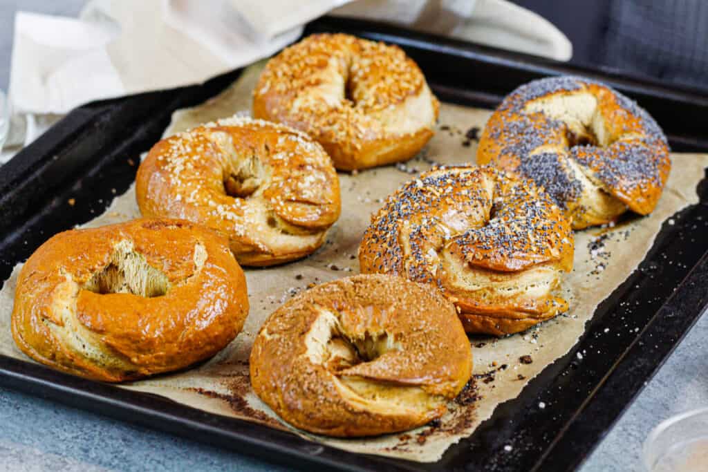 image of homemade bagels made with different toppings