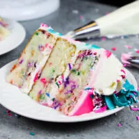 image of a slice of gluten free funfetti cake on a plate ready to be eaten