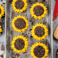 image of sunflower cupcakes