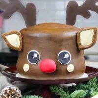 image of rudolph cake frosted with peanut butter chocolate frosting