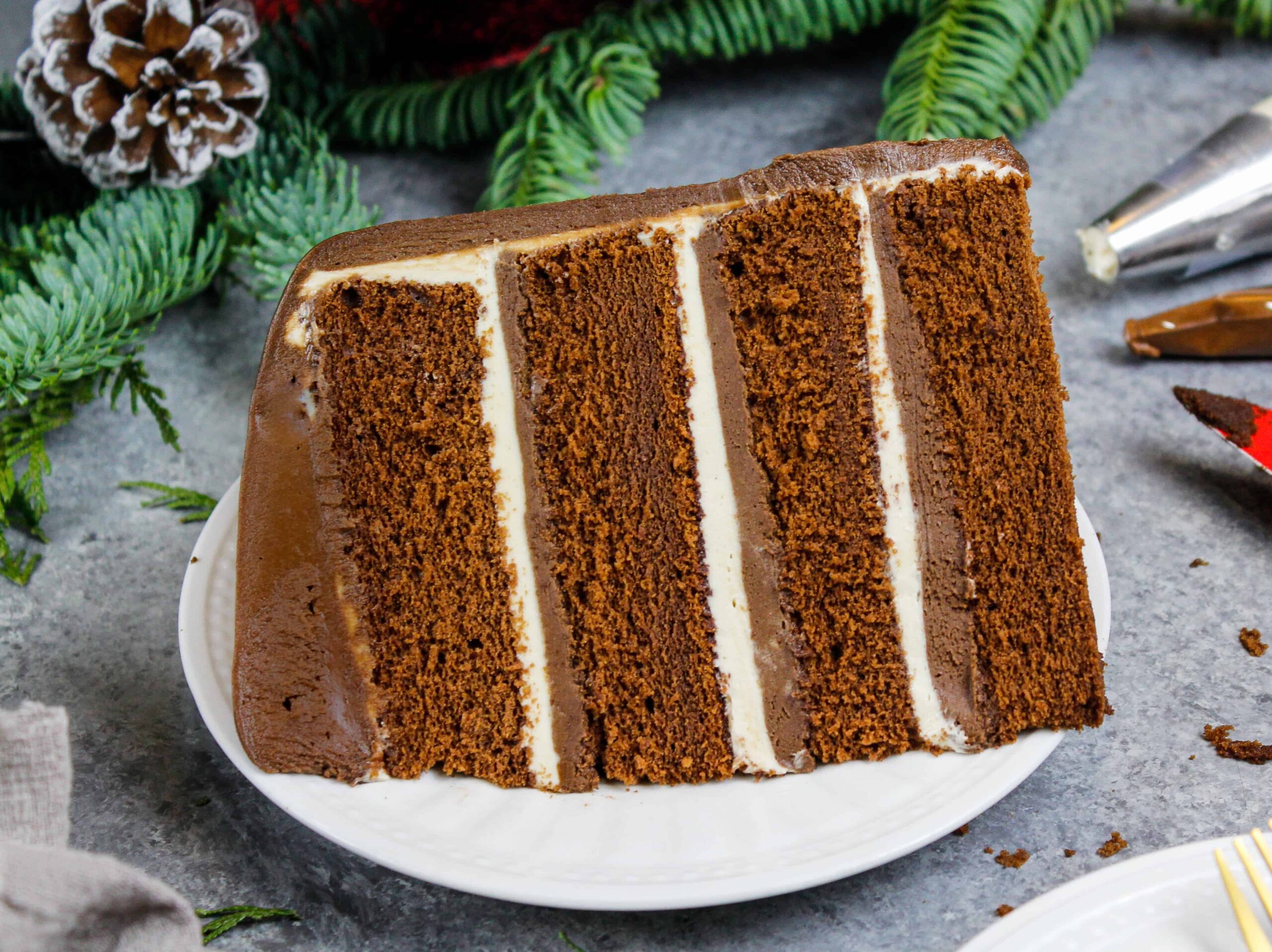 image of a chocolate peanut butter cake slice 