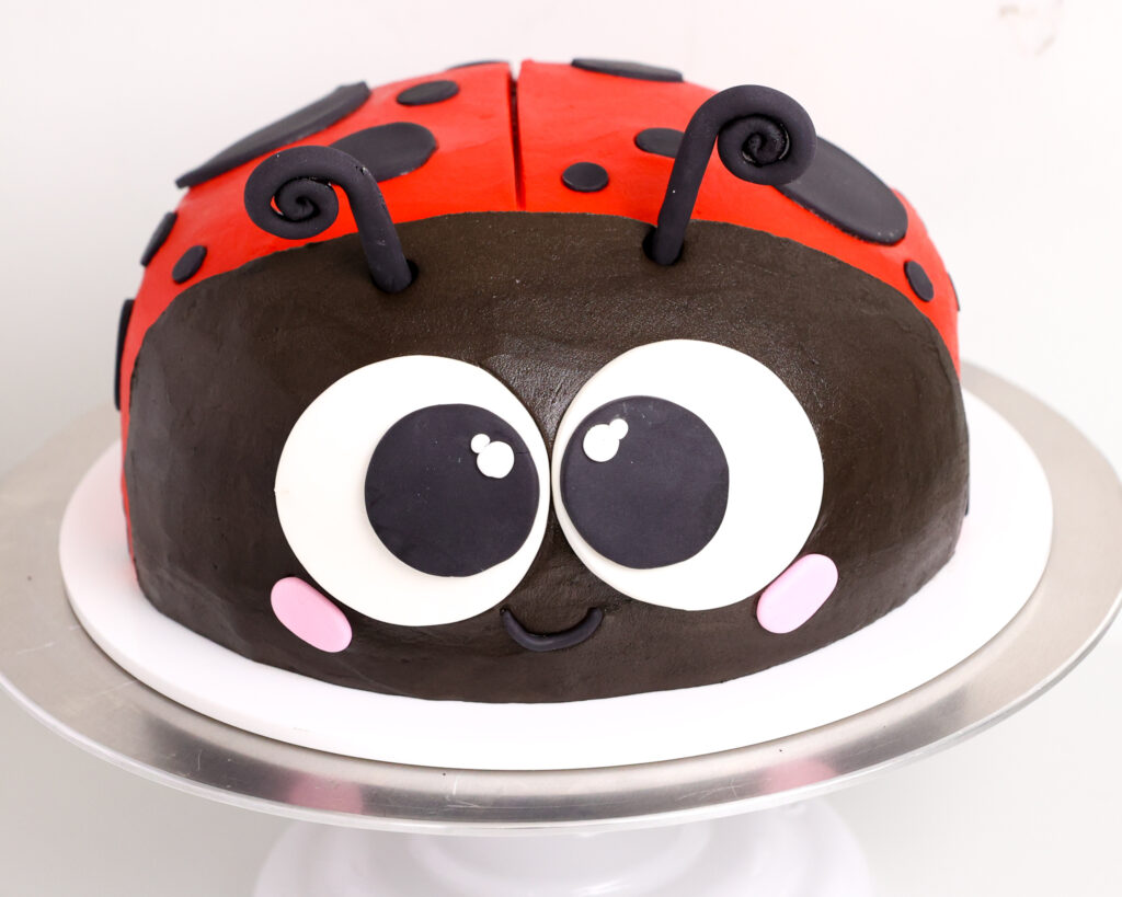 image of a lady bug cake that's been decorated with buttercream and fondant