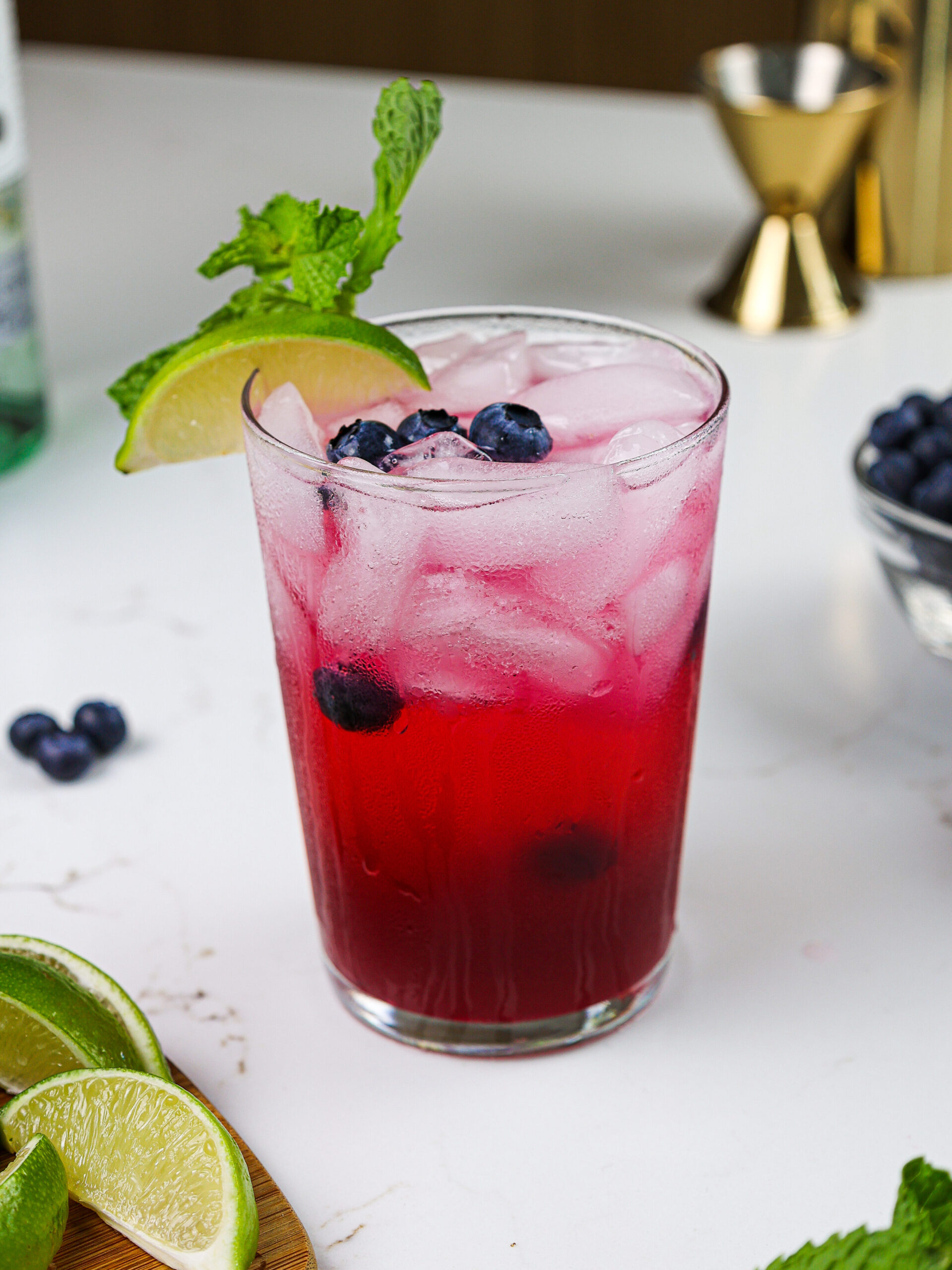 image of a blueberry mojito garnished with fresh blueberries, a sprig of min and a lime wedge
