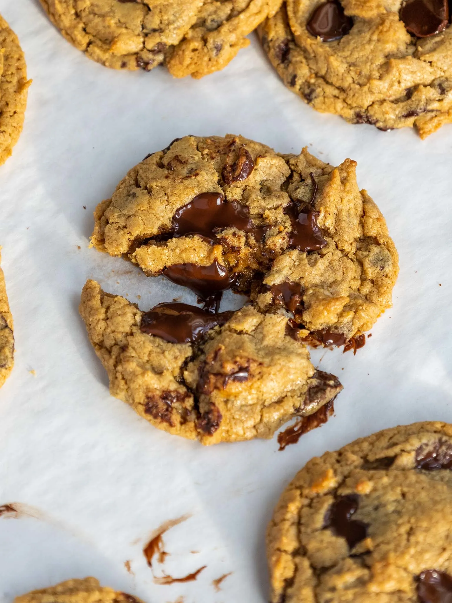 image of 5 ingredient peanut butter cookies on a baking sheet that are cooling