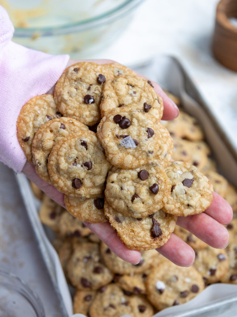 image of mini chocolate chips piled high in a hand to show how small they are