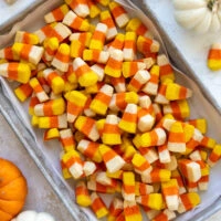 image of candy corn cookies that have ben placed in a tray