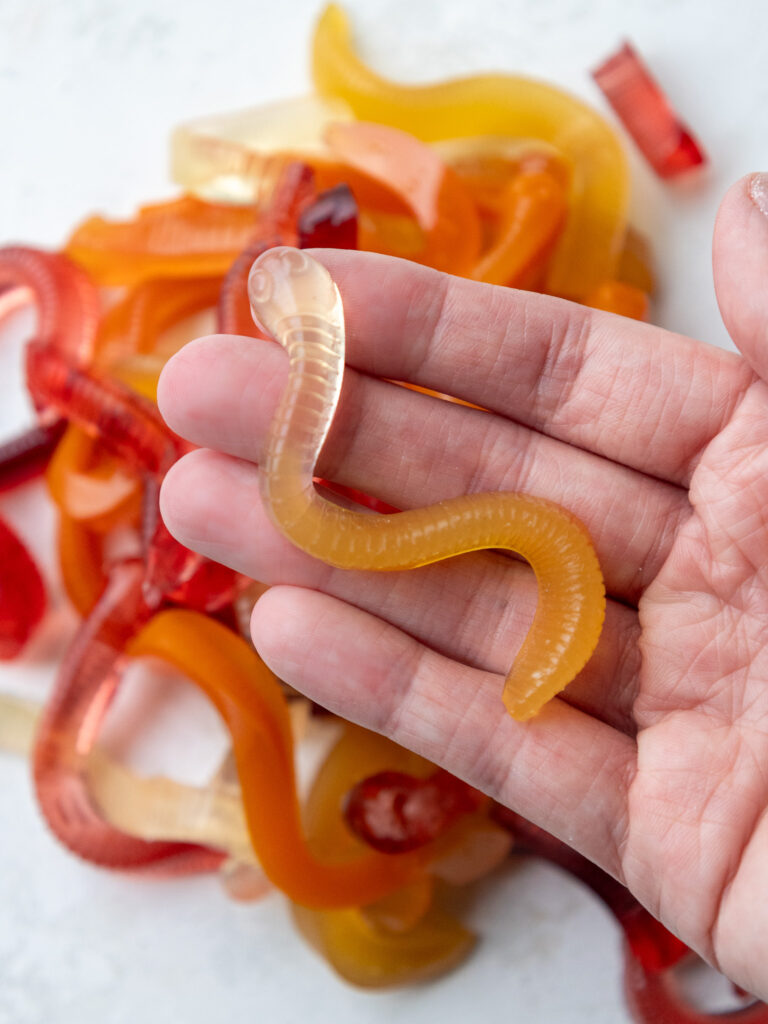 image of a multicolor homemade gummy worm