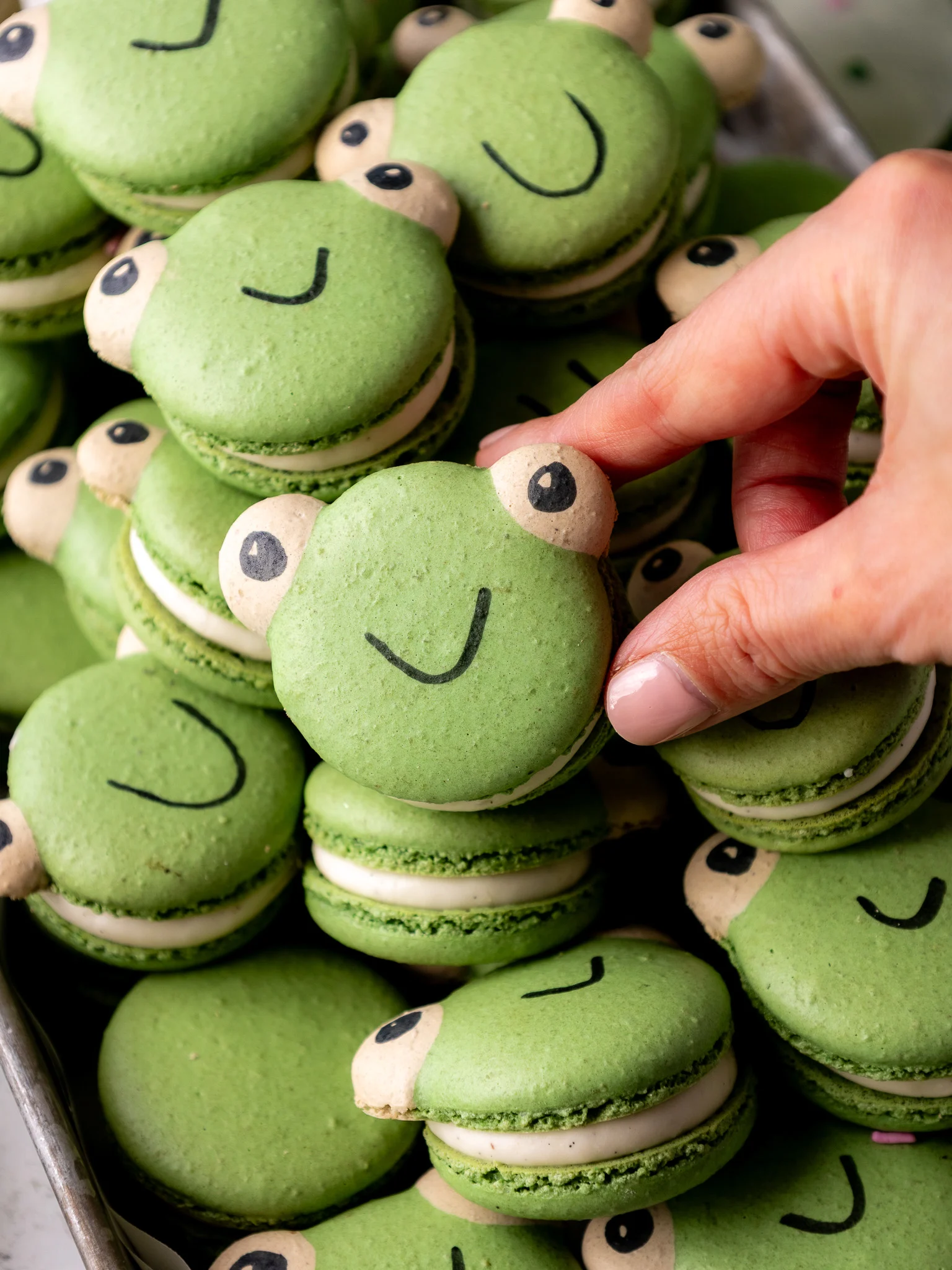 image of frog macarons that have been decorated to look like frog faces