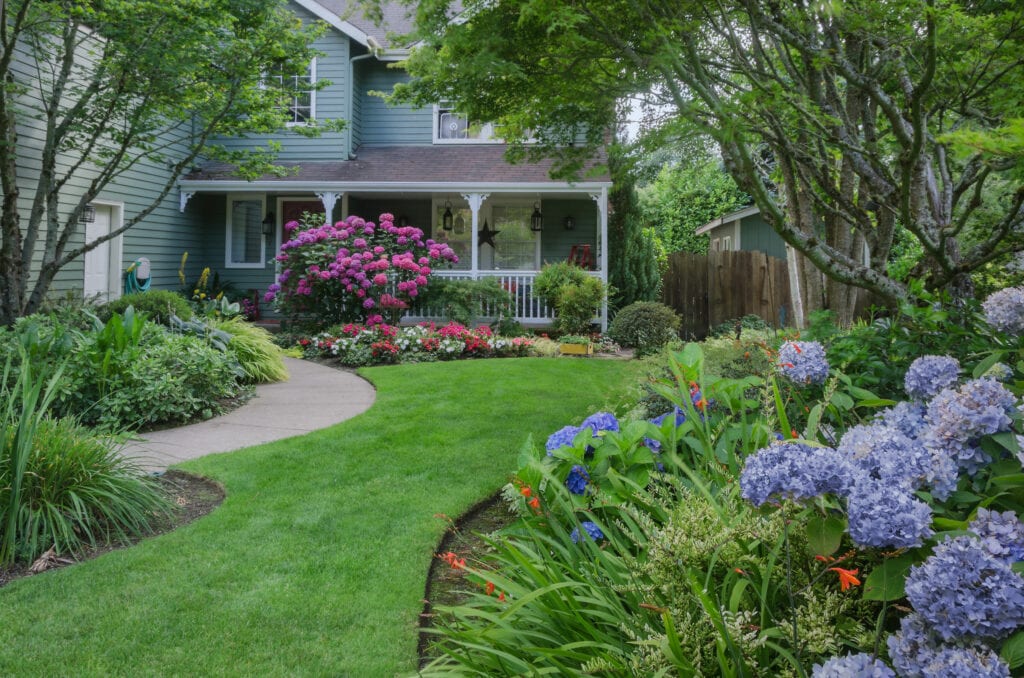 greenery and garden outside a home
