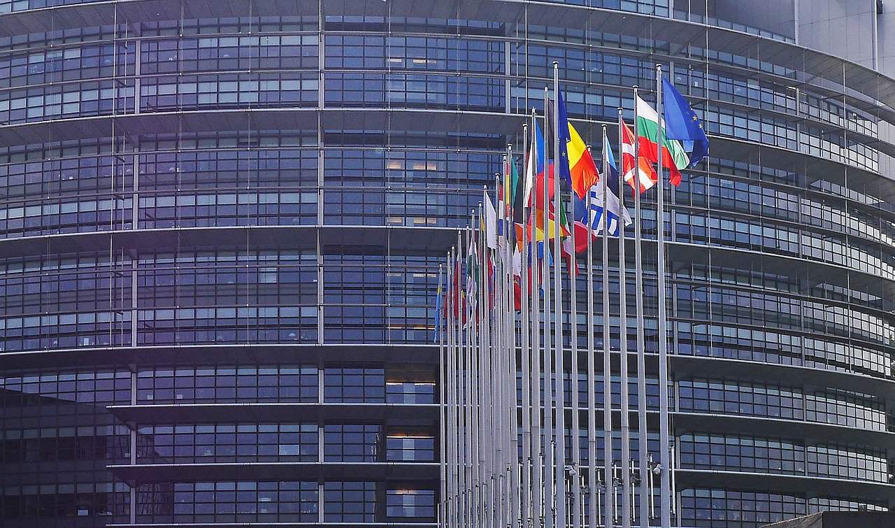 cum te angajezi la parlamentul european