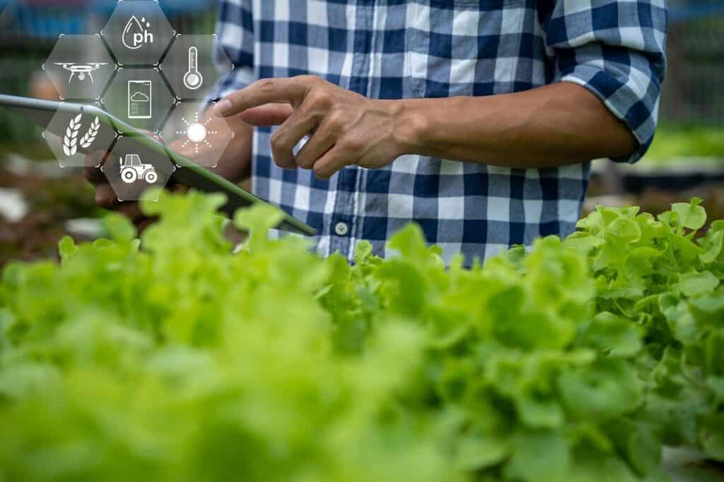 inteligența artificială în agricultură