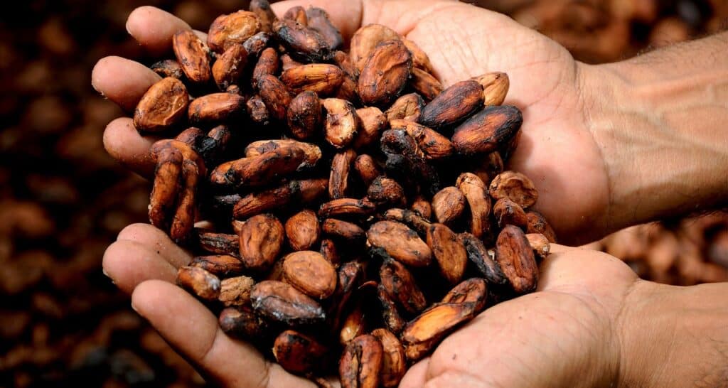 cei mai mari producători de cacao din lume