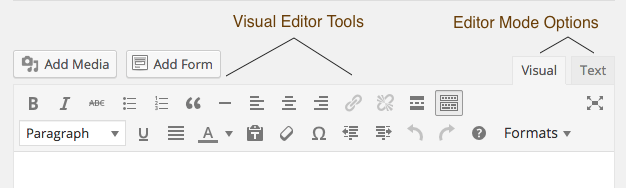 Visual Text Editor WordPress