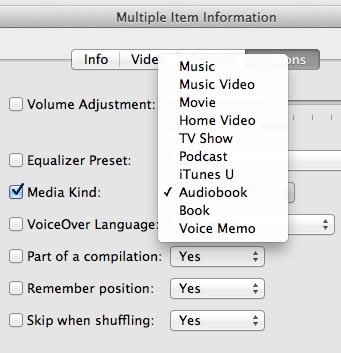 How to change your audio files to AudioBooks in iTunes