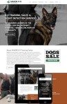 Best WordPress Theme Example