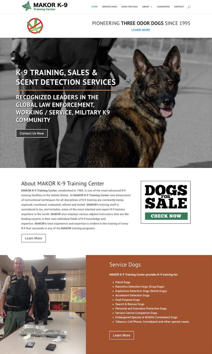 Professional Website Design