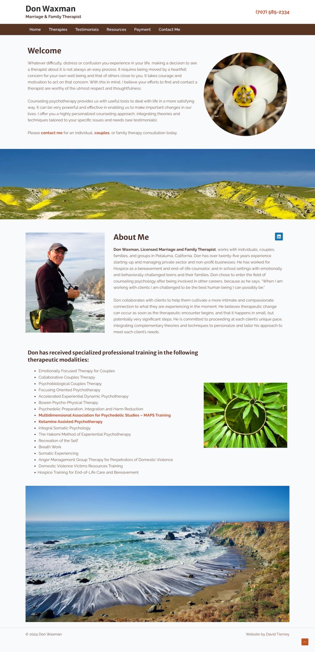 Therapist Don Waxman's Website Design