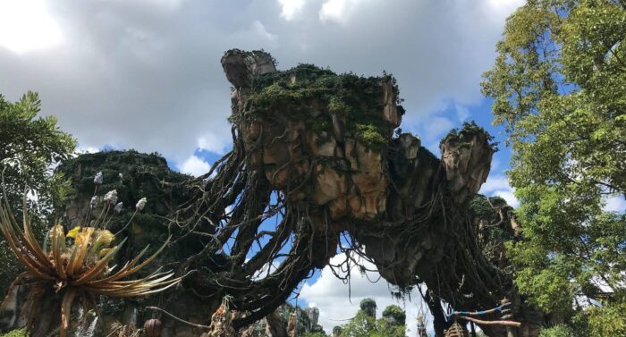 Avatar Flight of Passage Ride