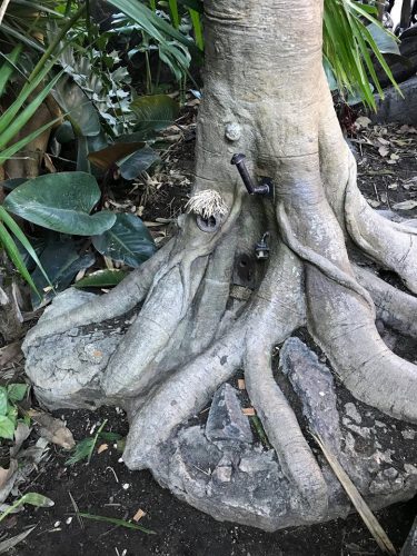 Little Man of DIsneyland's house