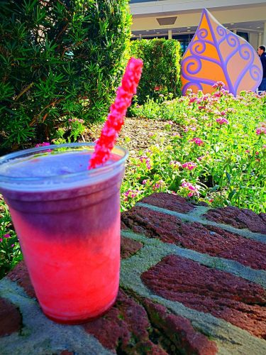 My Favorite Unique Drinks in Disney World 9