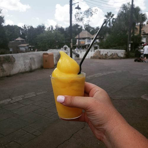My Favorite Unique Drinks in Disney World 7