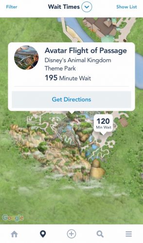 Flight of Passage Standby Wait time