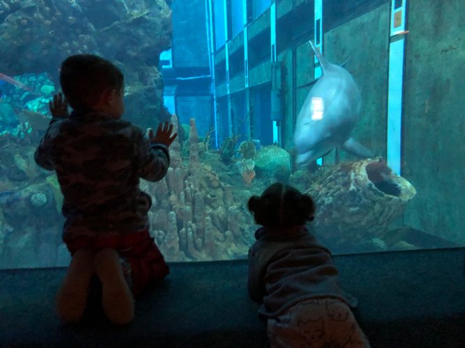Exploring EPCOT with Toddlers 5