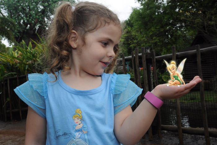Disney PhotoPass: How and Why 13