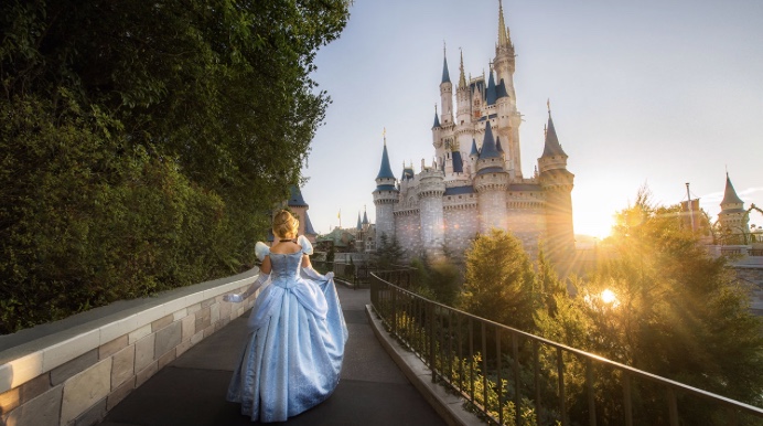 How Can I Spend the Night in Cinderella Castle?