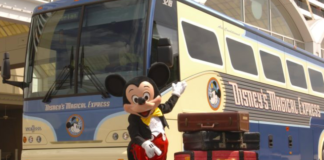Magical Express landscape