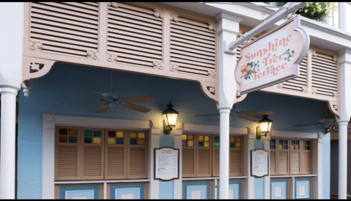 Frozen Treats to Help Beat the Heat at Walt Disney World 5