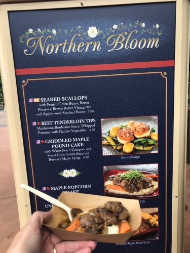 5 Rookie Mistakes to Avoid At Epcot 4