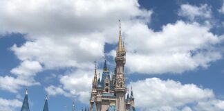 CinderellaCastle Favorite
