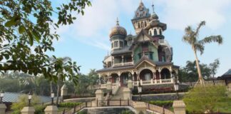 wdw