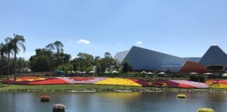 flower garden scaled