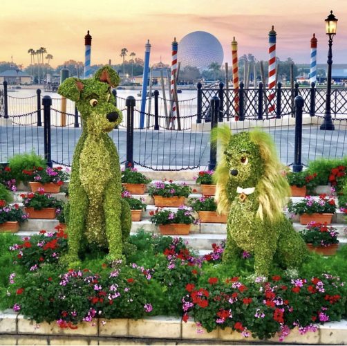 Top 4 Reasons To Go See Epcot’s International Flower and Garden Festival 6