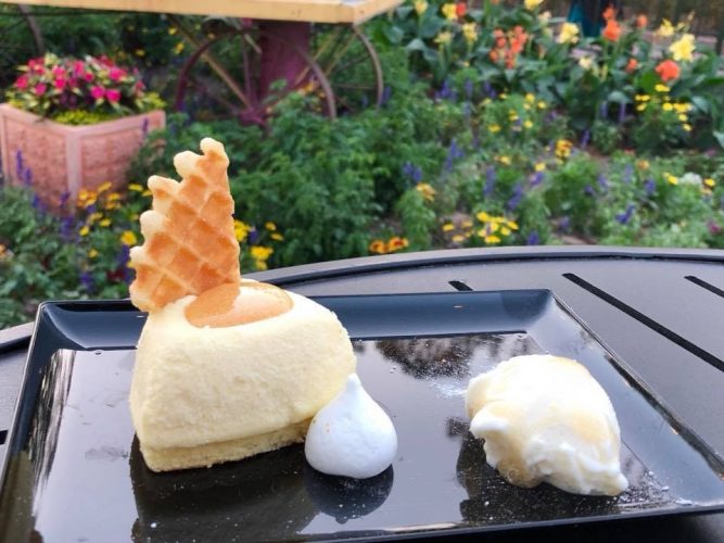 Top 4 Reasons To Go See Epcot’s International Flower and Garden Festival 4