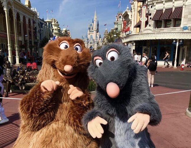 Ratatouille 
