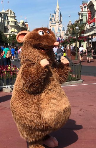 Celebrating Pixar's Ratatouille and the Upcoming "Remy's Ratatouille Adventure" Attraction 6