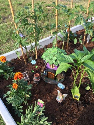 Planting a Disney Inspired Garden 4