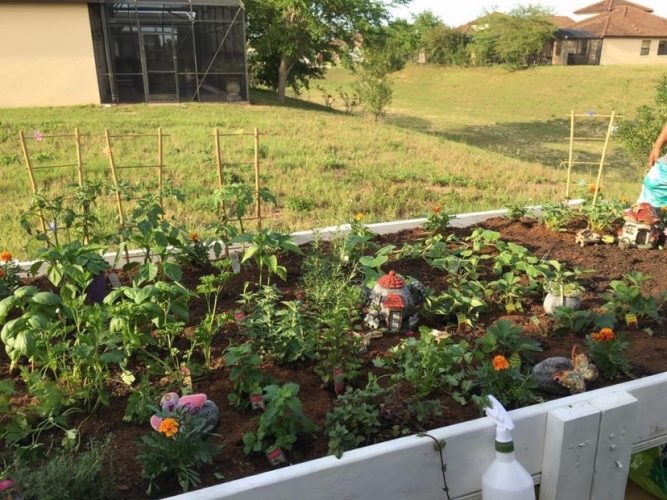 Planting a Disney Inspired Garden 6