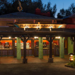 flame tree