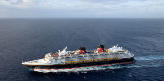 disney cruise line