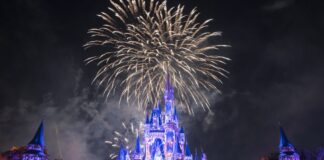fireworks 1