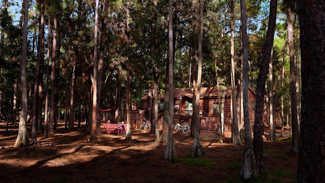 Top 3 Best Walt Disney World Resorts for Families