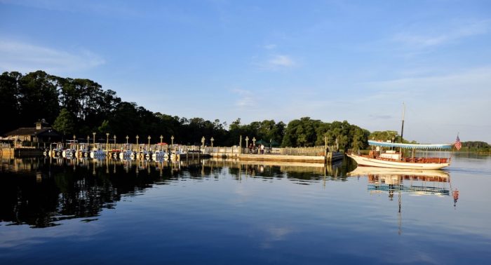 Top 3 Best Walt Disney World Resorts for Families 5