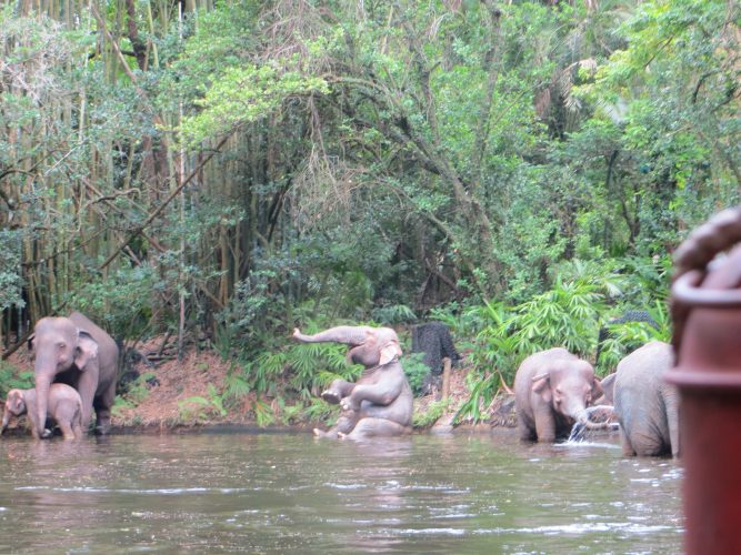 Jungle Cruise